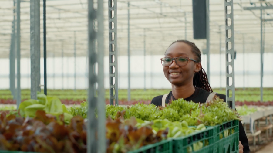 Manufacturing line image